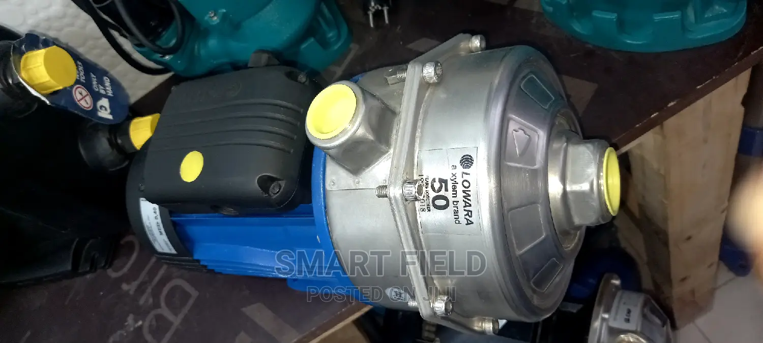 Lowara Stainless Steel Surface Pump