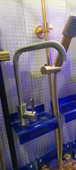 Model Kitchen Taps