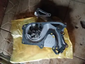 Kia and Hyundai Water Pumps Available Here.