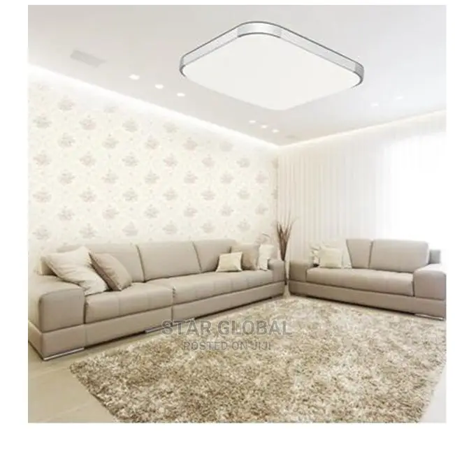 Bedroom Living Room LED Lamp Surface Mount-White Light