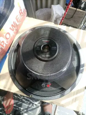 Original Oceanic Big Magnet 1000 Watts 15 Inches Speaker