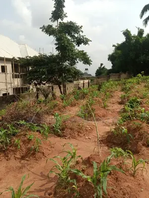 Land for Sale at Nibo