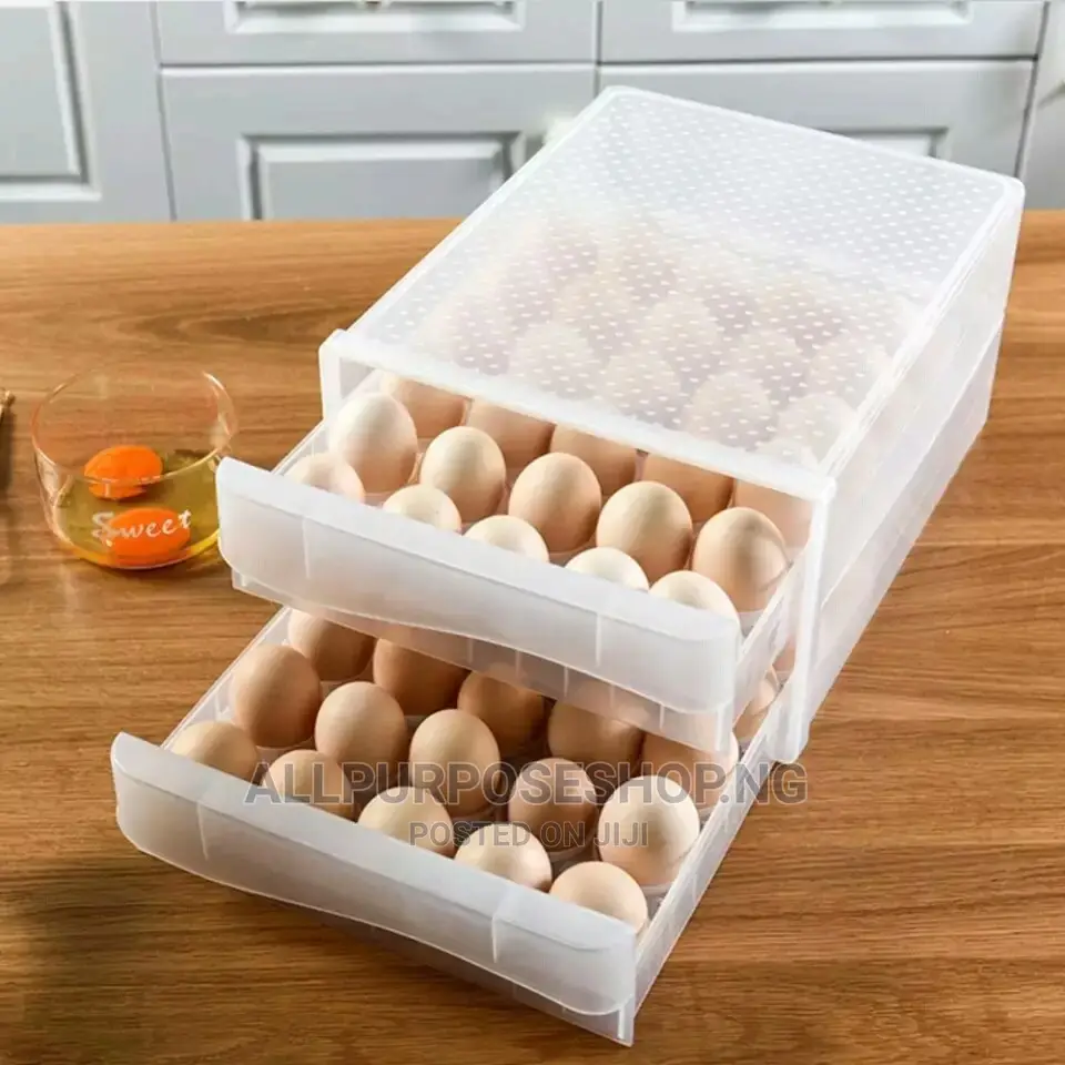 Egg Crate (Max:60eggs)