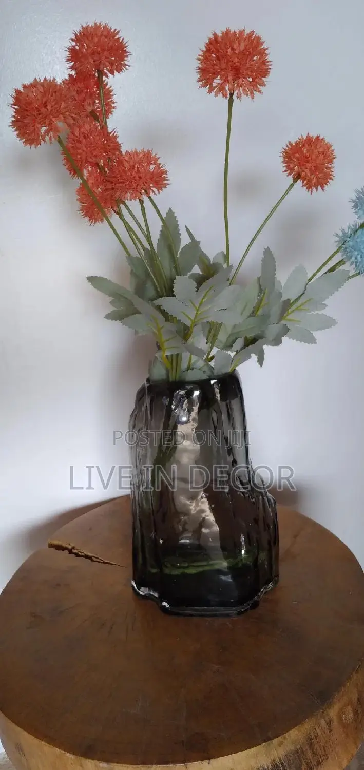 Hydroponic Glass Vase
