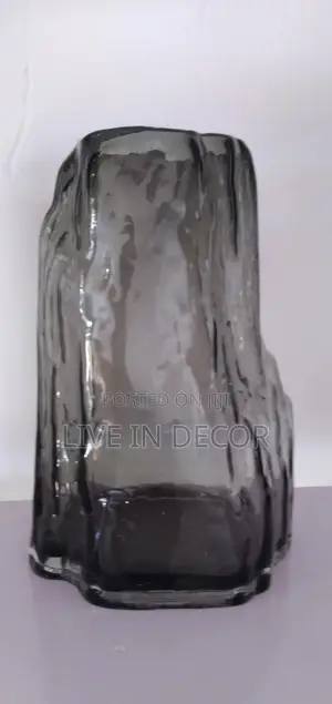 Hydroponic Glass Vase