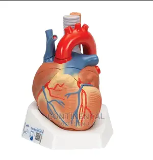 Original Heart Model