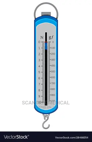 Spring Balance Aluminum Hanging Scale