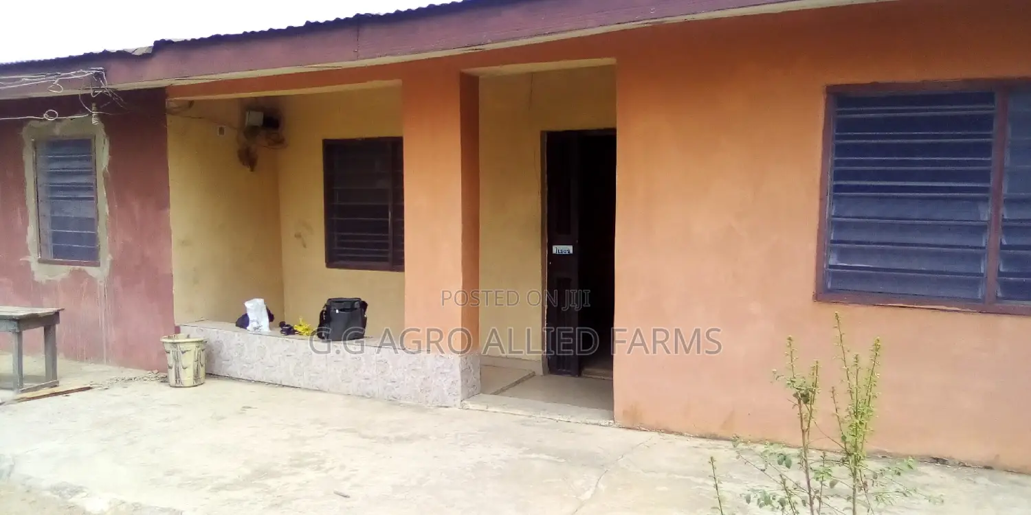 Fumigation And Cleaning