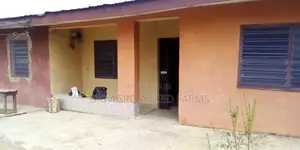 Fumigation And Cleaning