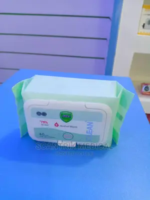 Sanitary Disinfect Wet Wipes Alcohol