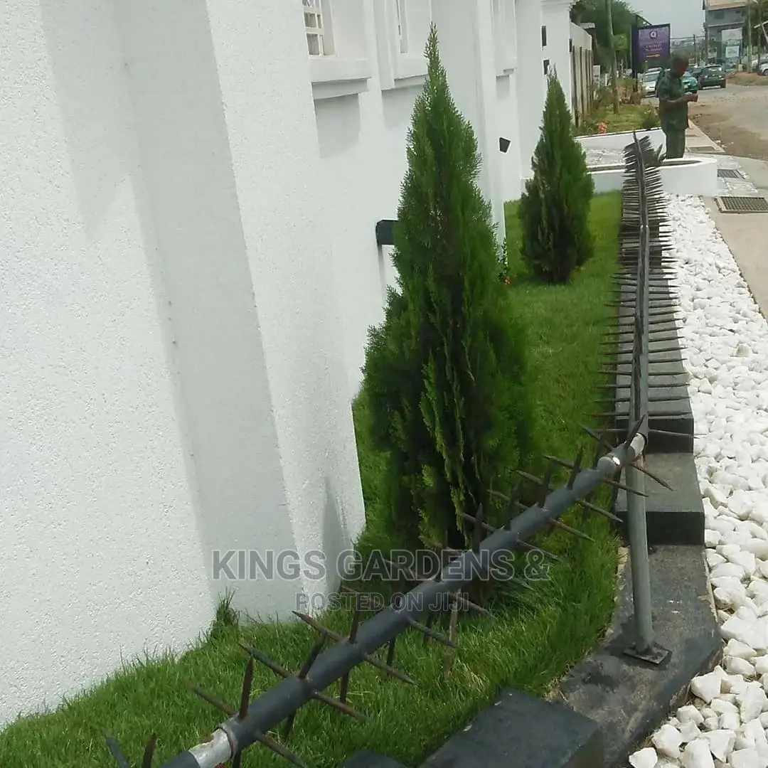 Horticultural Services