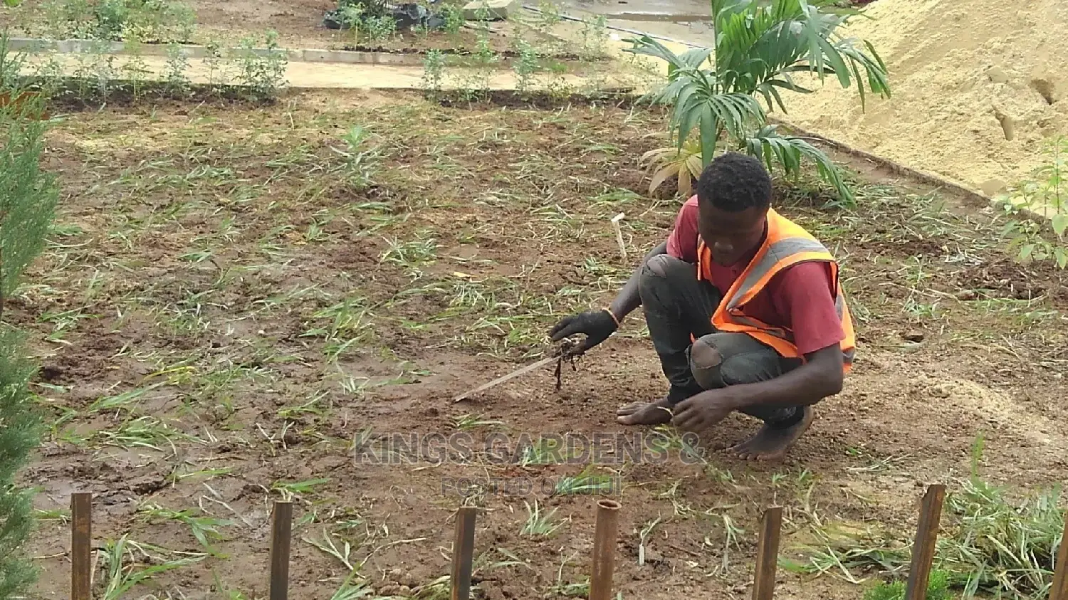 Horticultural Services