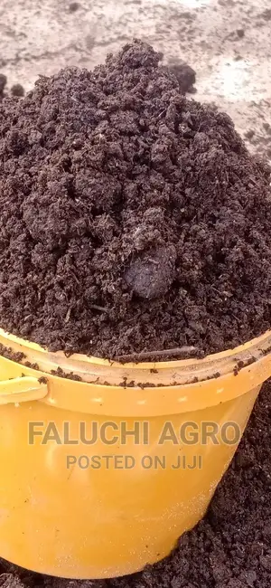 Organic Vermicompost Fertilizer Manure (One Custard Paint).