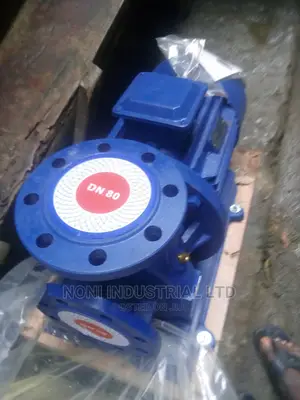 DN80 Water Pump