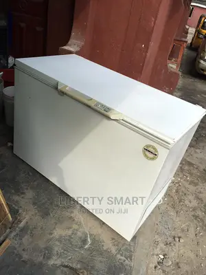 Liebherr Deep Freezer 300litres (MOULD FOR FROZEN)