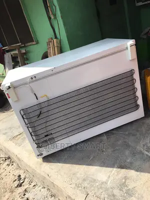 Liebherr Deep Freezer 300litres (MOULD FOR FROZEN)