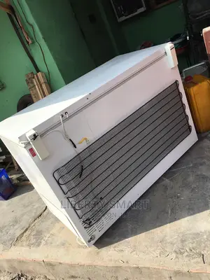 Liebherr Deep Freezer 300litres (MOULD FOR FROZEN)