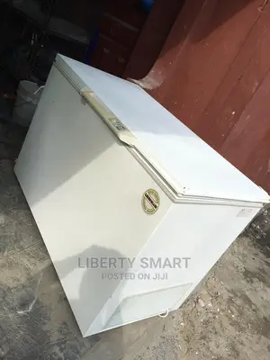 Liebherr Deep Freezer 300litres (MOULD FOR FROZEN)