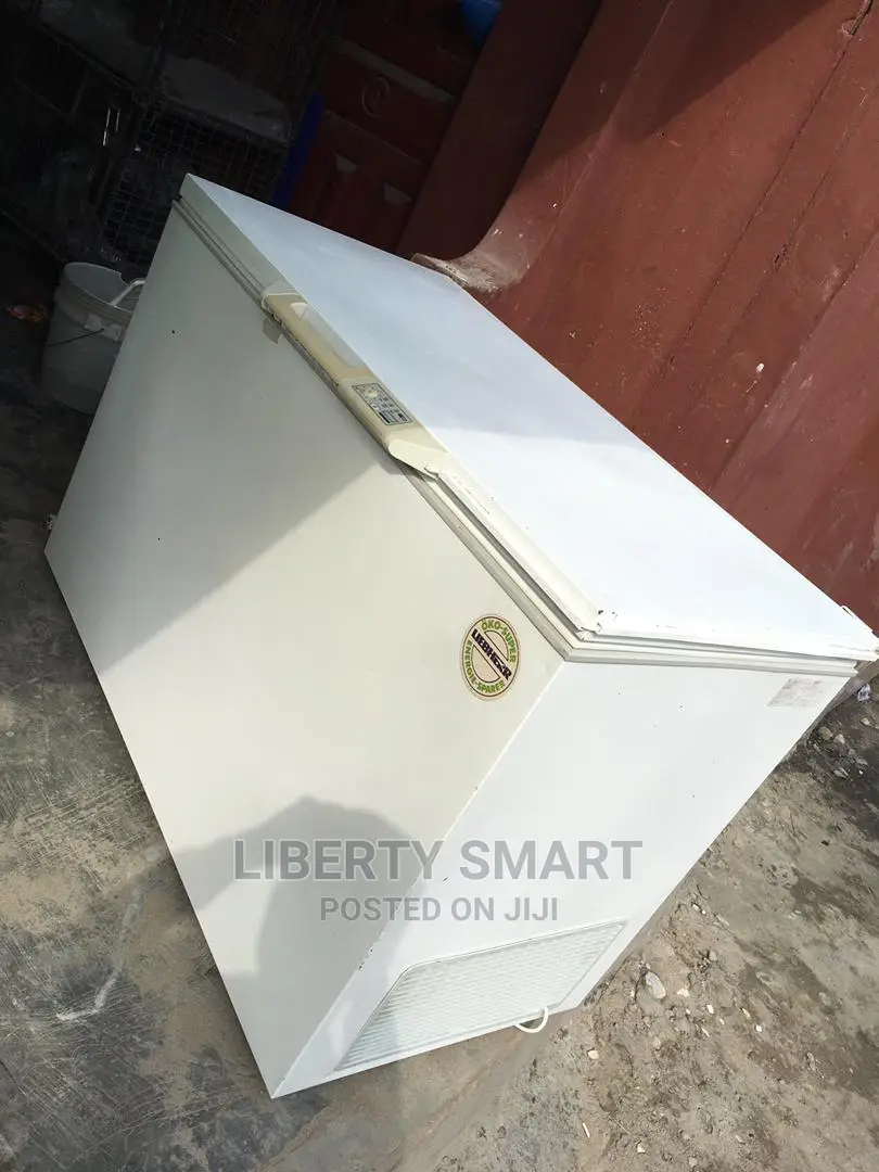 Liebherr Deep Freezer 300litres (MOULD FOR FROZEN)