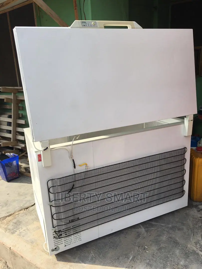 Liebherr Deep Freezer 300litres (MOULD FOR FROZEN)