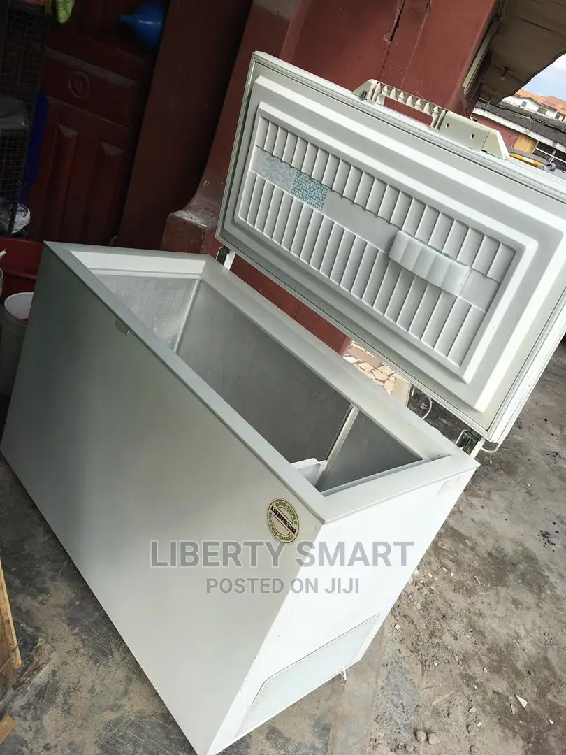 Liebherr Deep Freezer 300litres (MOULD FOR FROZEN)