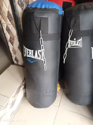 Everlast Pouncing Bag
