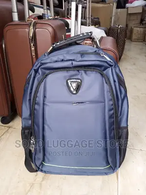 Biaowang Backpack