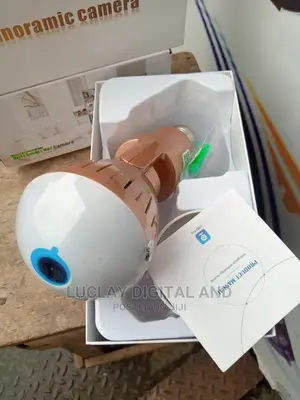 Full View Bulb Camera
