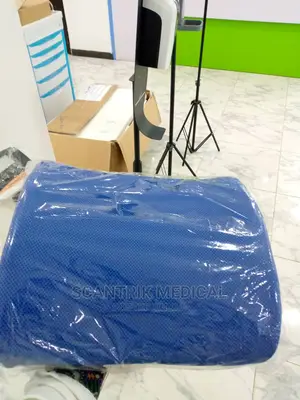 Back Lumbar Cushion