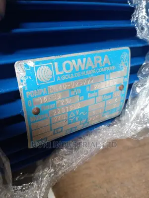 Lowara Water Pump 2.5hp