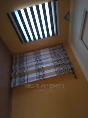 Window Blind