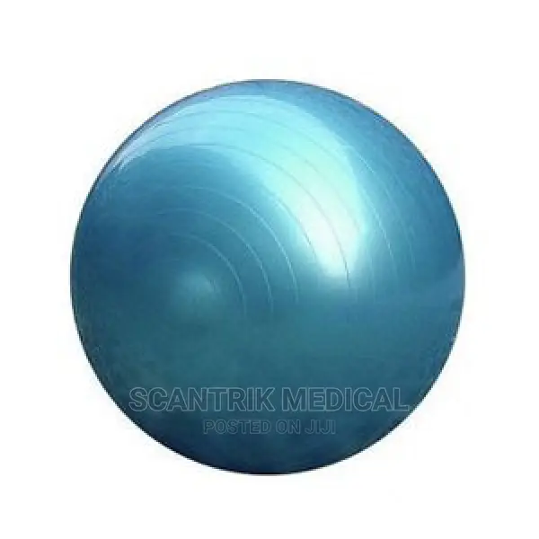 GYM Ball Fitness Exercise
