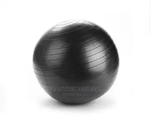 Exercise Fitness GYM Ball