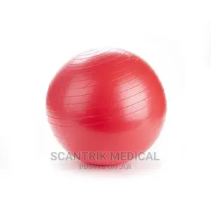 Exercise Ball Guide