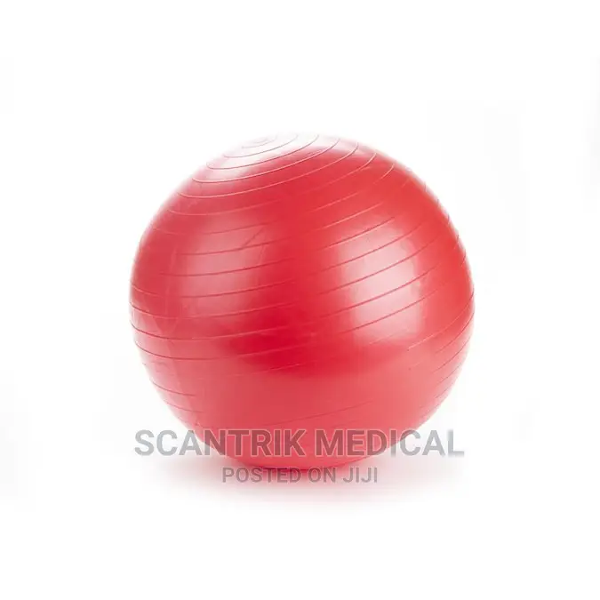 Exercise Ball Guide