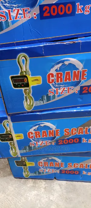 Crane Scale