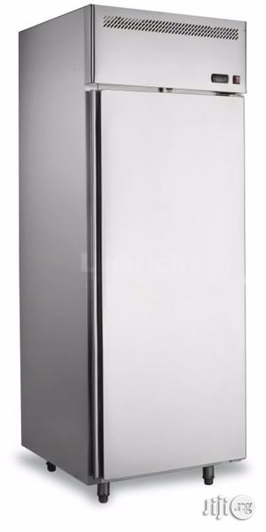 Vertical Stainless Steel Kitchen Refrigerator