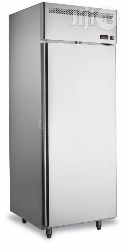 Vertical Stainless Steel Kitchen Refrigerator