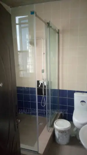 Shower Doors 10mm