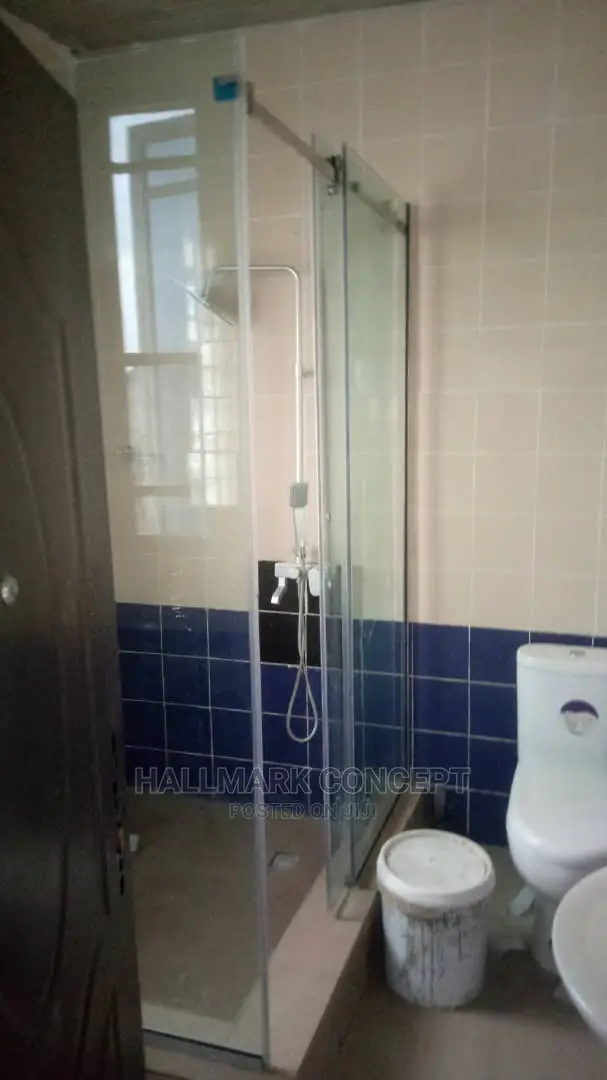 Shower Doors 10mm