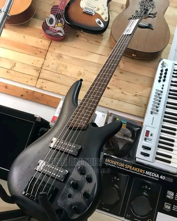 305 Ibanez Guitar