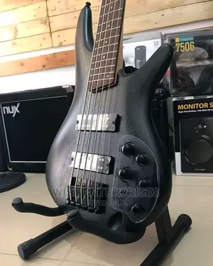 305 Ibanez Guitar