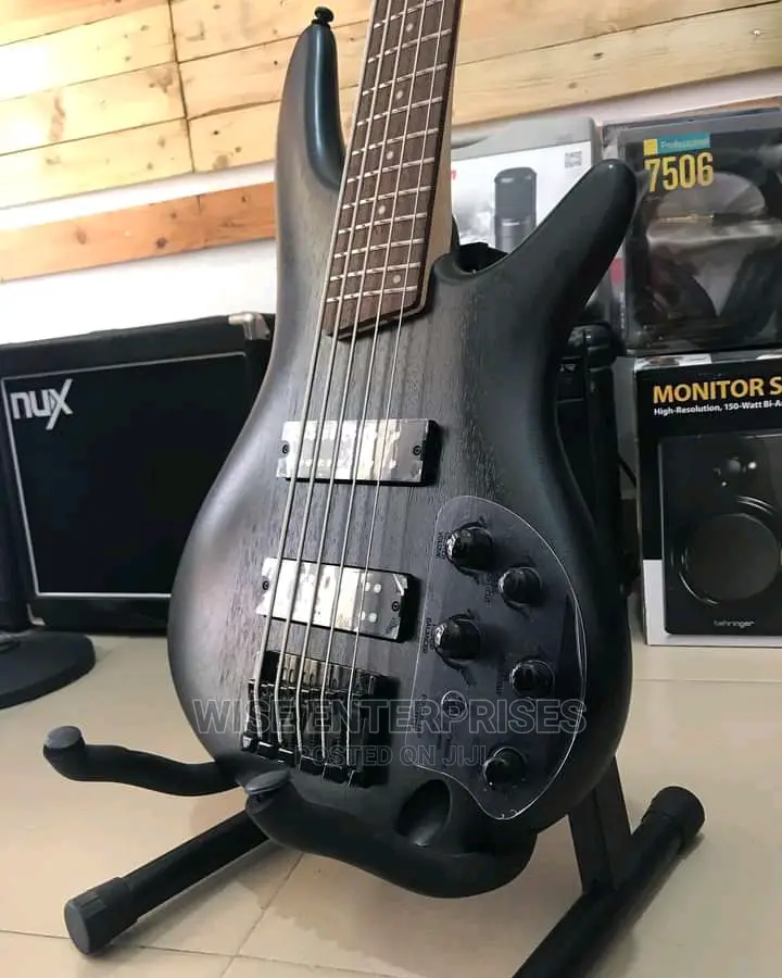305 Ibanez Guitar