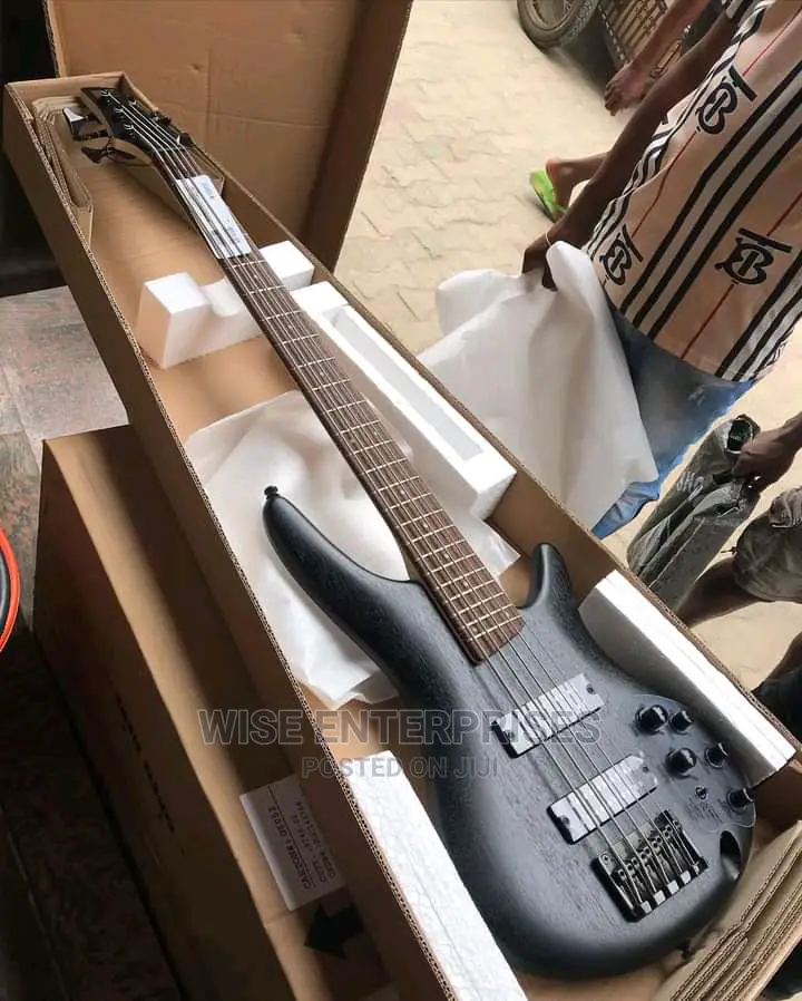 305 Ibanez Guitar