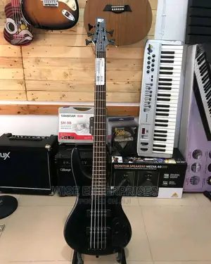 305 Ibanez Guitar