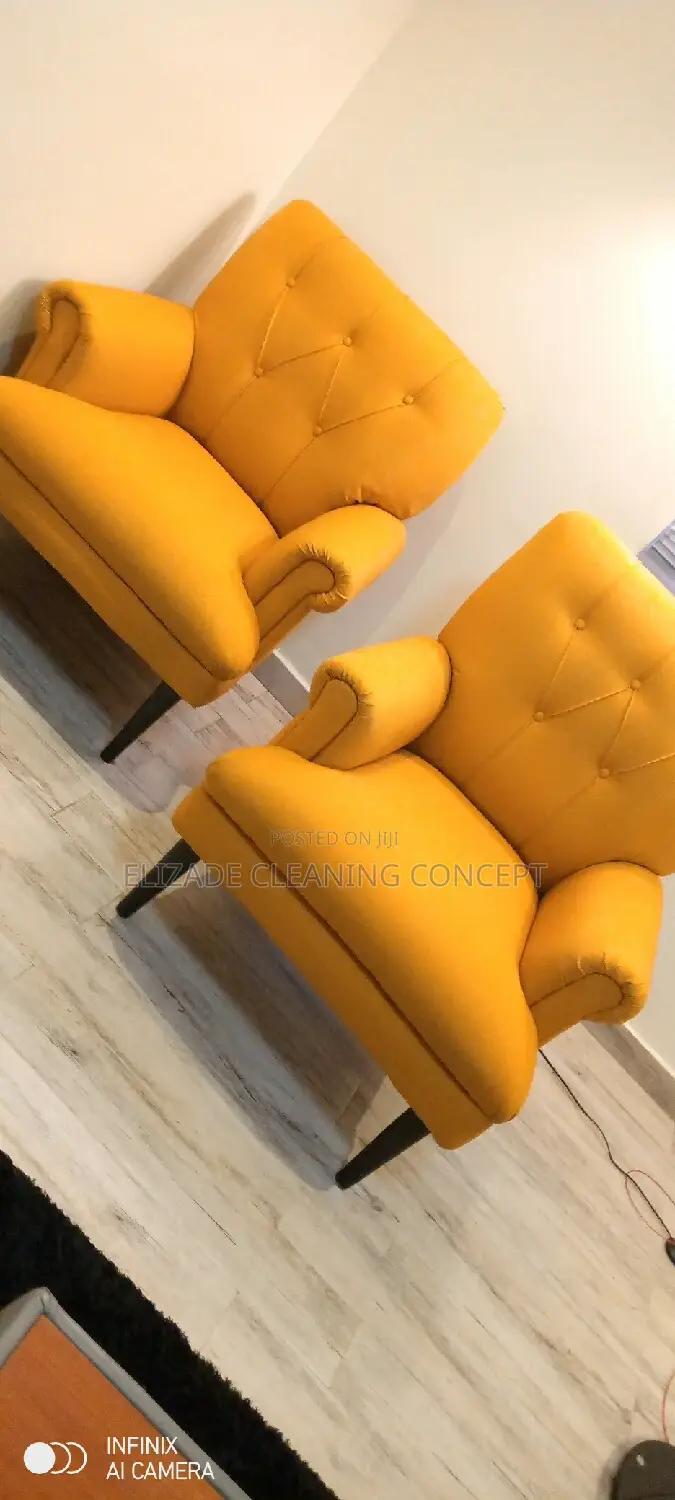 Profesional Sofa or Couch Clean