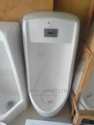 Executive England Sensored Urinal System