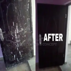 Professional Cleaning Service