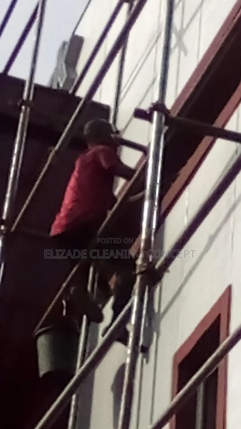 Professional Cleaning Service