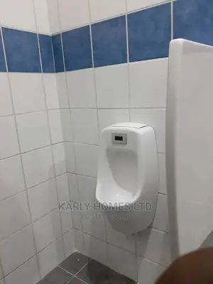 England Automated Urinal